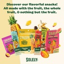 Organic Pineapple Coconut Jerky .8oz