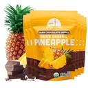 Dried Pineapple Chocolate Fruit 3oz