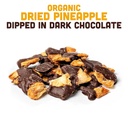 Dried Pineapple Chocolate Fruit 3oz