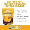 Dried Pineapple Chocolate Fruit 3oz