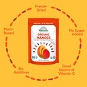 Mango Freeze Dried Raw 1.5oz