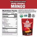 Dried Mango Chocolate Fruit 3oz