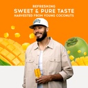 Pure Coconut Mango Water 11fl oz