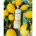 Hydrogen Infused Lemon Lime 12fl oz