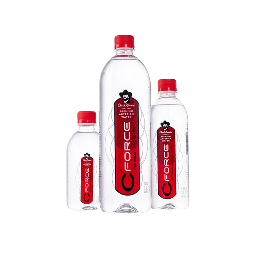 Artesian Water 16.9oz