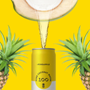 Coconut Pineapple Water 11oz