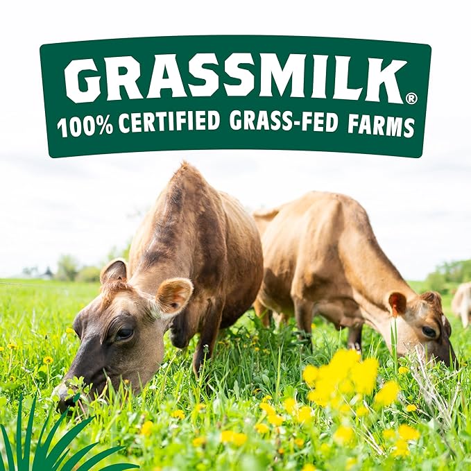 Cheese Raw Cheddar Mild Organic 8oz