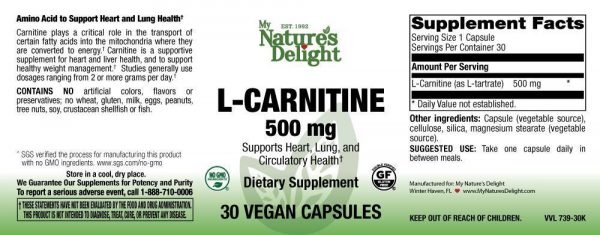 L-Carnitine 500 mg - 30 Vegan Caps