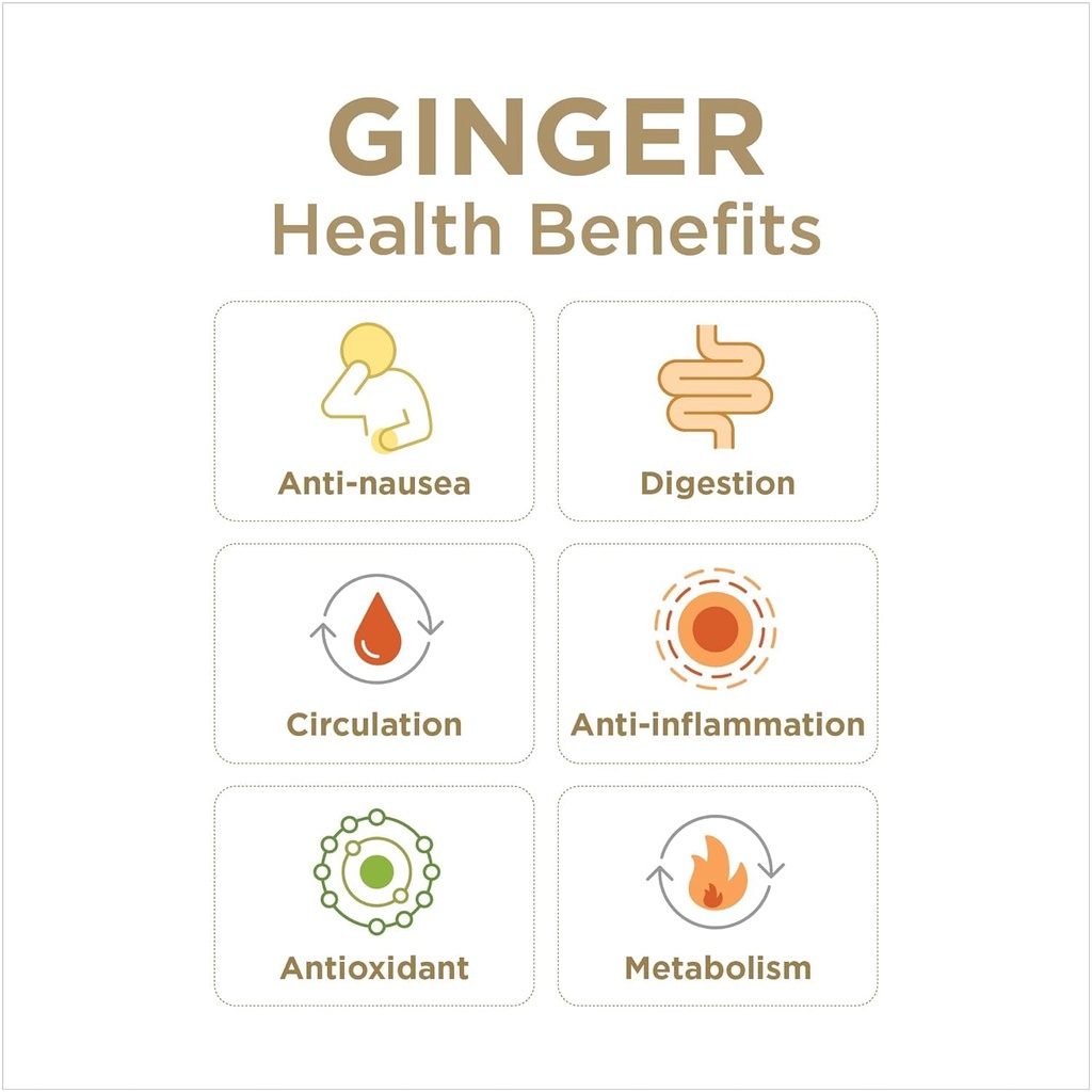 Gin Gins Spicy Apple Ginger Chew 3oz