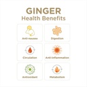 Gin Gins Spicy Apple Ginger Chew 3oz