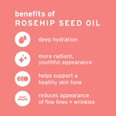 Organic Pure Rosehip Seed Oil 1oz