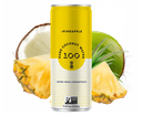 Coconut Pineapple Water 11oz
